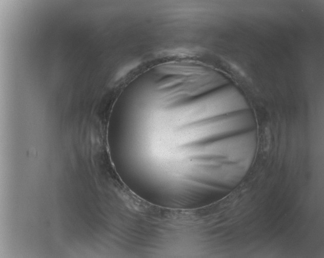 X0000080121158200612221824