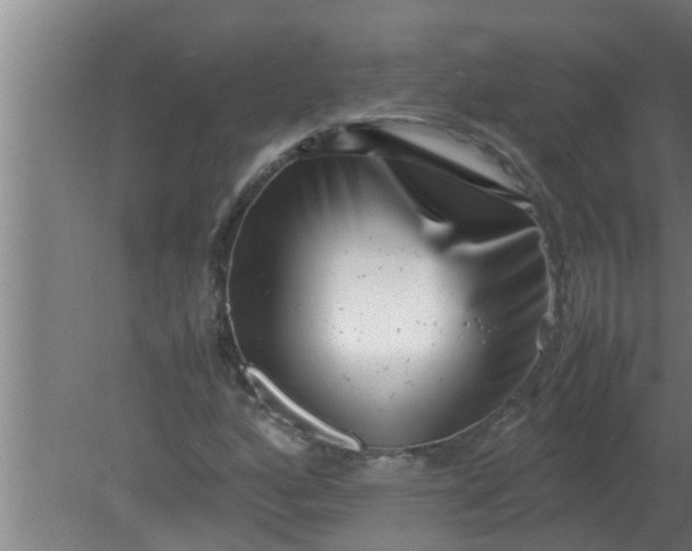 X0000080121160200612221824