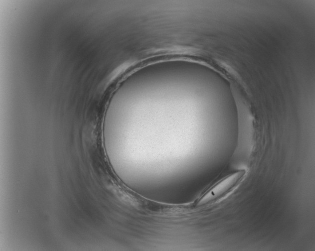X0000080121163200612221824