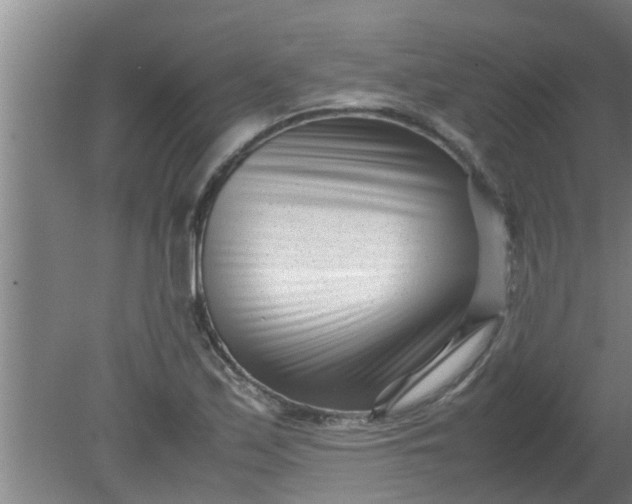 X0000080121171200612221824