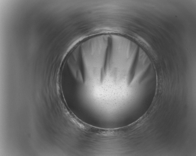 X0000080121182200612221823