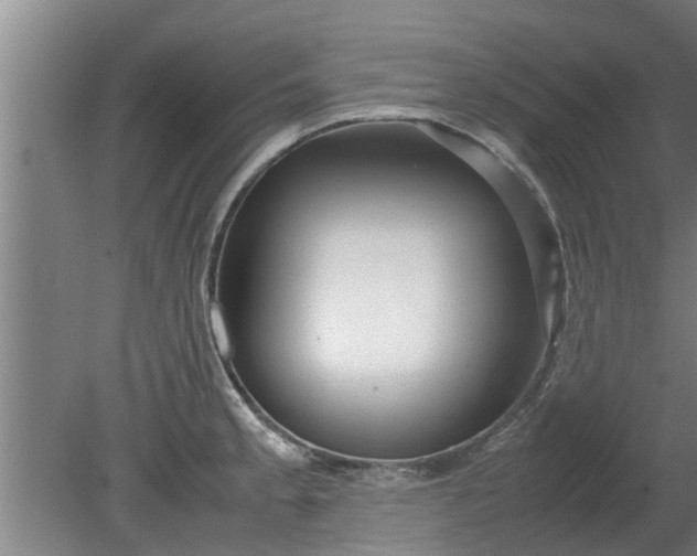 X0000080121189200612221823