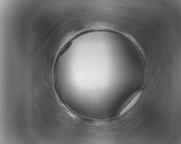 X0000080121191200612221823
