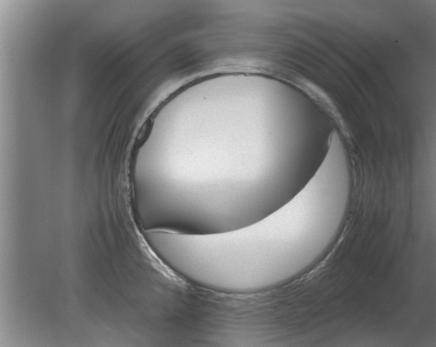 X0000080121192200612221823