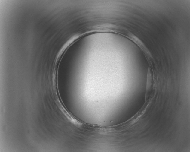 X0000080121196200612221823