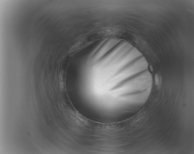 X0000080121203200612221822