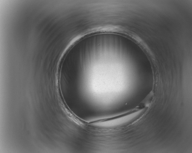 X0000080121232200612221823
