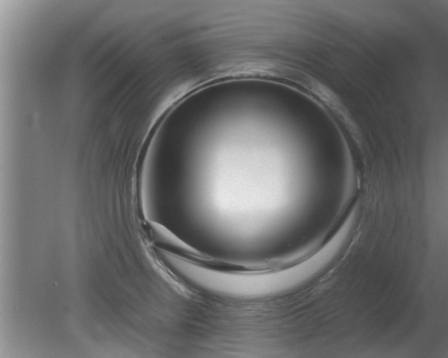 X0000080121234200612221823