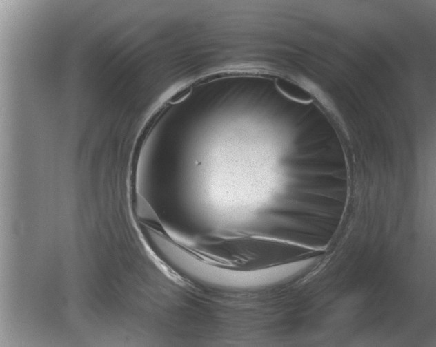X0000080121237200612221823