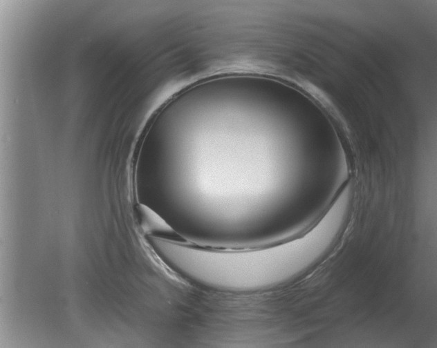 X0000080121238200612221823