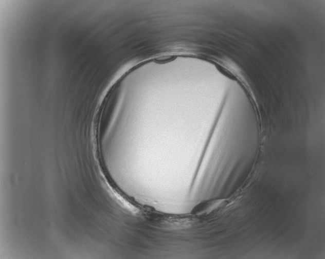 X0000080121243200612221823