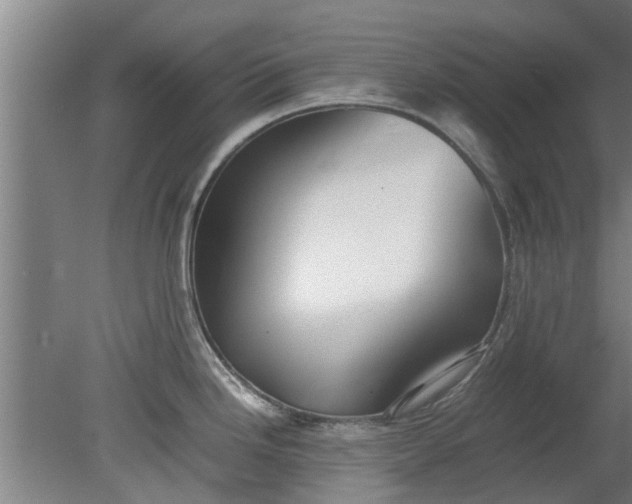 X0000080121246200612221823