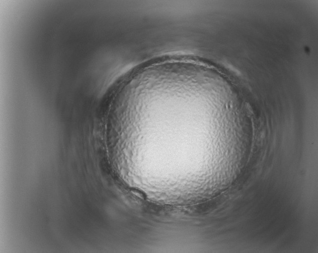 X0000080121255200612221822