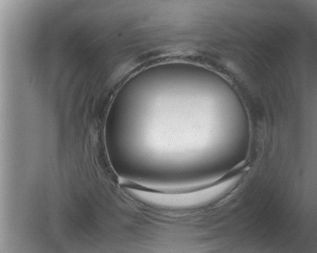 X0000080121257200612221822