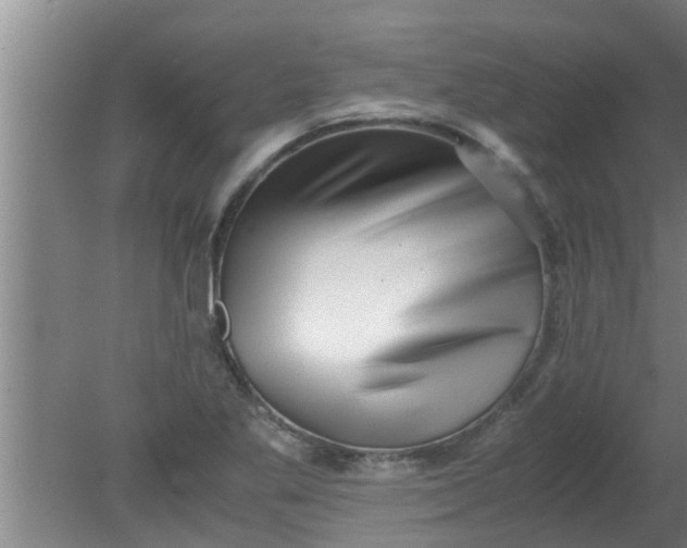 X0000080121269200612221822