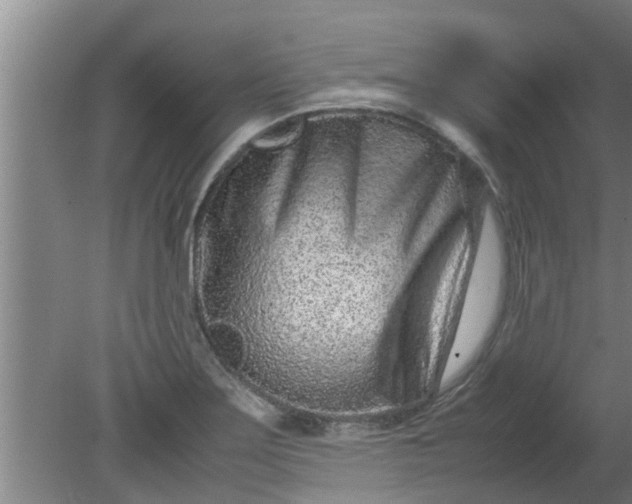 X0000080121275200612221822