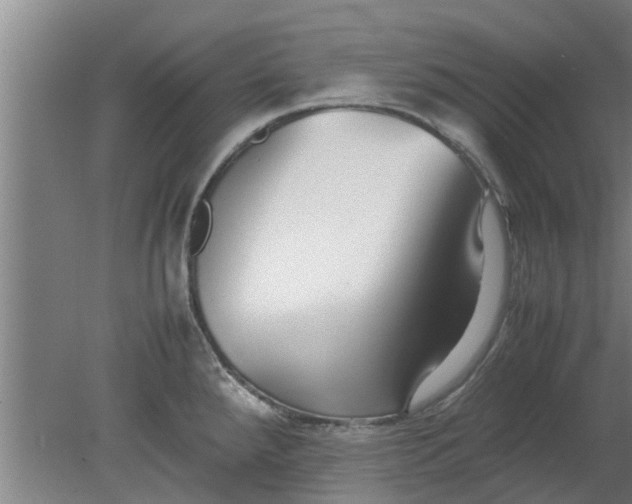 X0000080121288200612221822