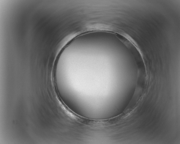X0000080121293200612221821