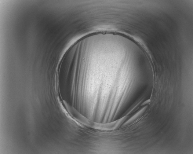 X0000080121295200612221821