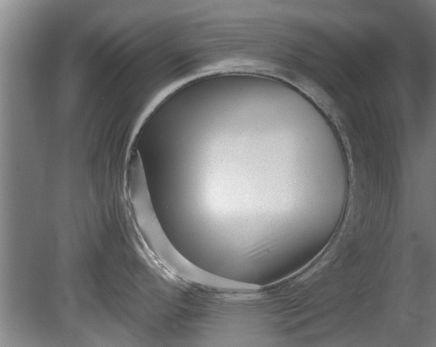 X0000080121296200612221821