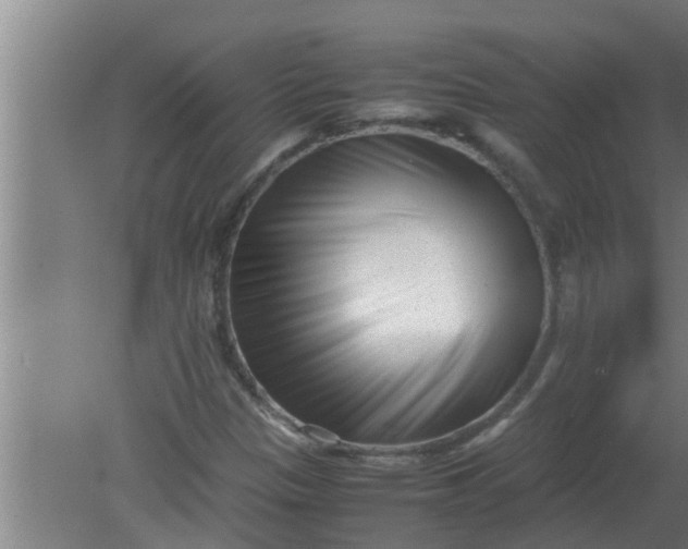 X0000080121305200612221821