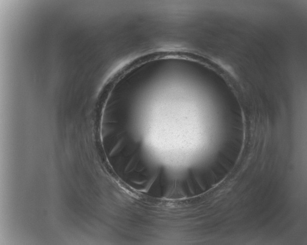 X0000080121311200612221821