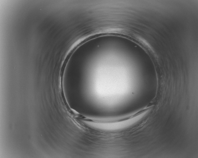 X0000080121324200612221821