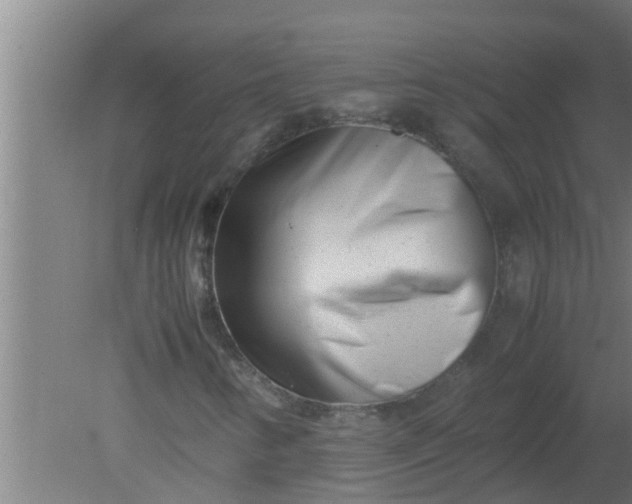 X0000080121346200612221821