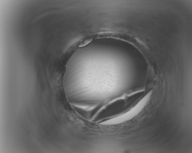 X0000080121351200612221820