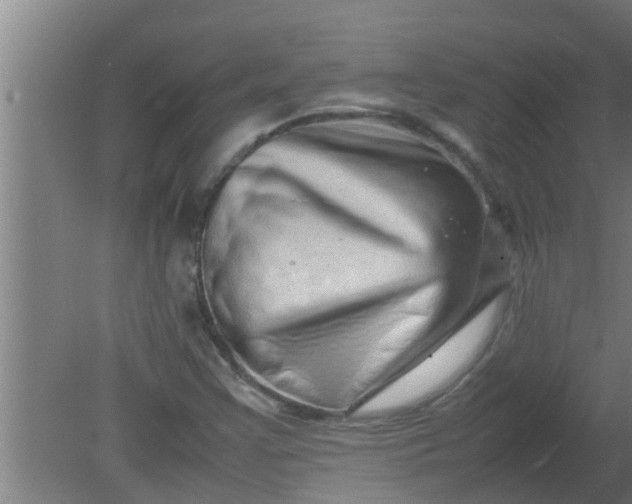 X0000080121355200612221820