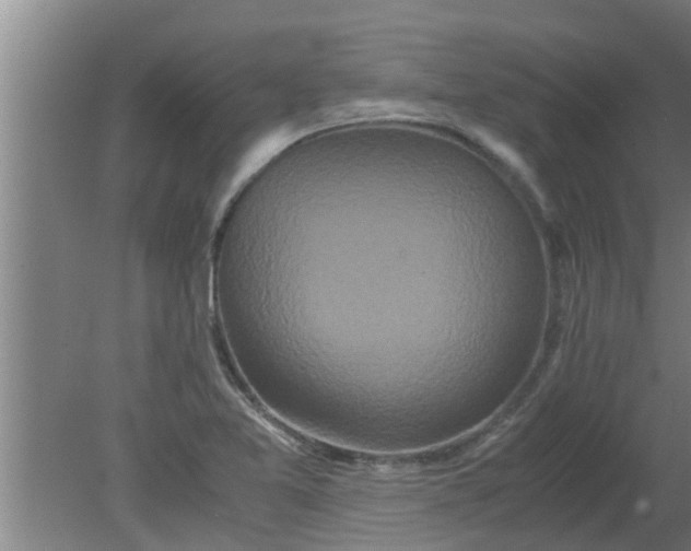 X0000080121365200612221820