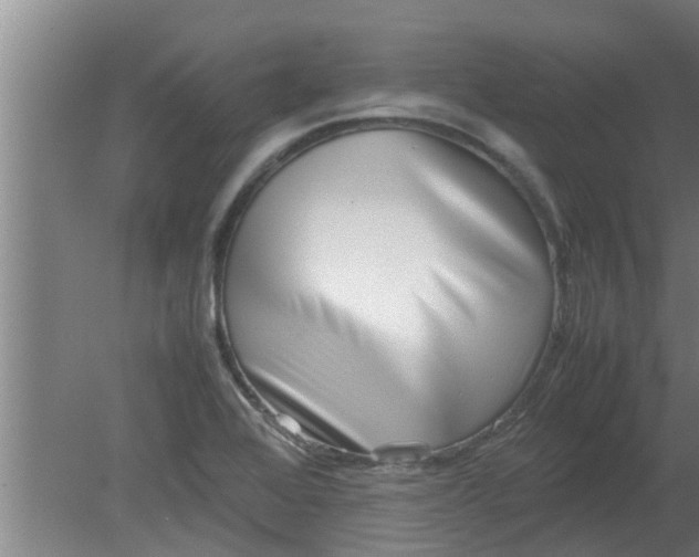 X0000080121368200612221820