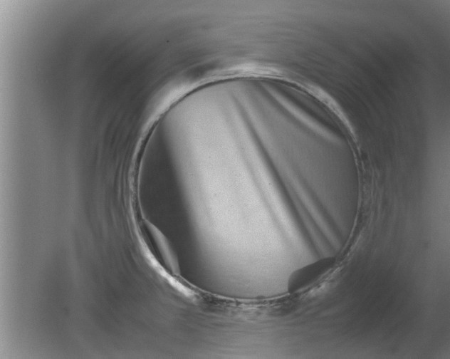 X0000080121381200612221820