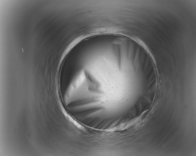 X0000080121389200612221820