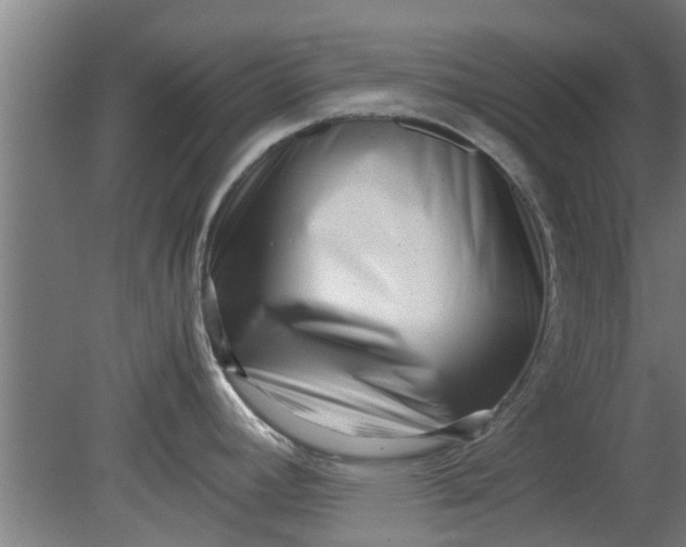 X0000080121392200612221820