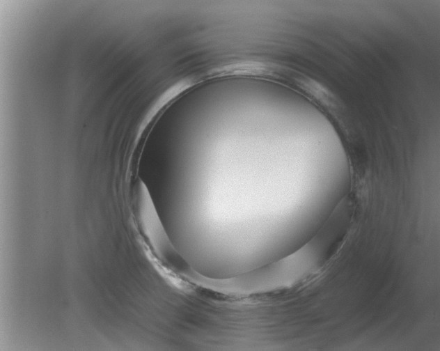 X0000080121426200612221820