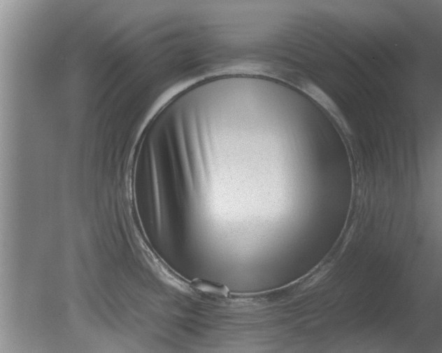 X0000080121436200612221820