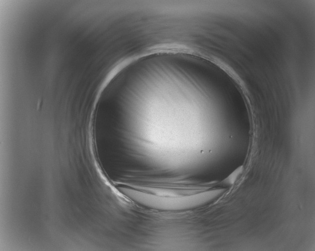 X0000080121440200612221820