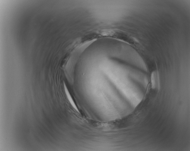 X0000080121443200612221819