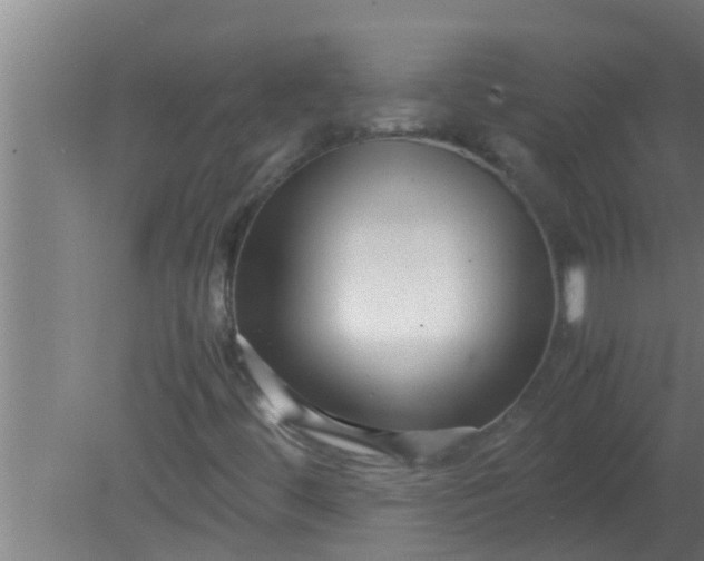 X0000080121444200612221819