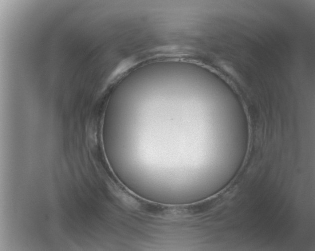 X0000080121451200612221819