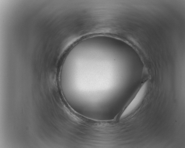 X0000080121452200612221819