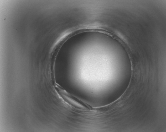 X0000080121456200612221819