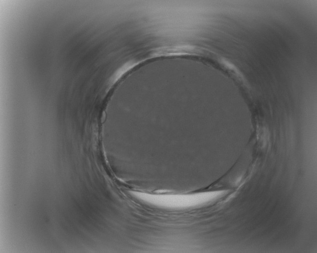 X0000080121457200612221819