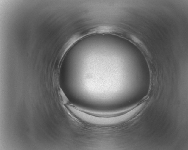 X0000080121473200612221818