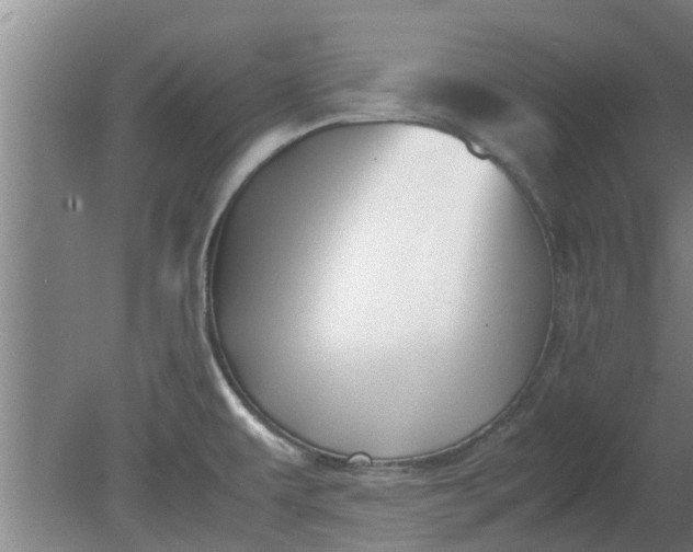 X0000080121479200612221818