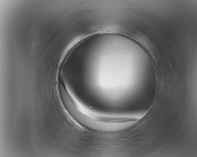 X0000080121480200612221818