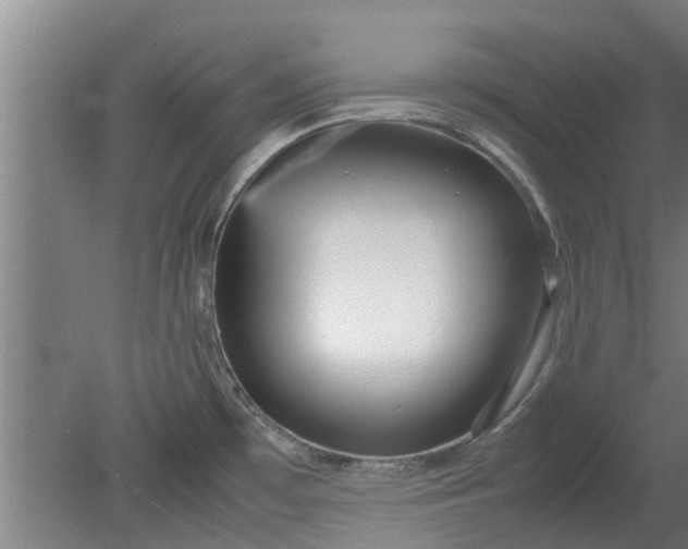 X0000080121481200612221818