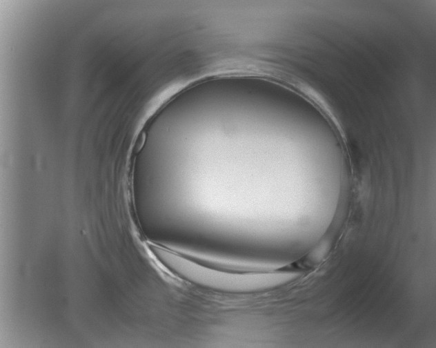 X0000080121485200612221818