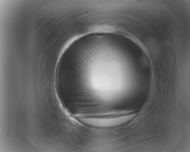 X0000080121488200612221818